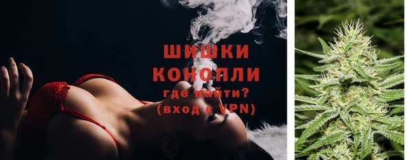 амф Ладушкин