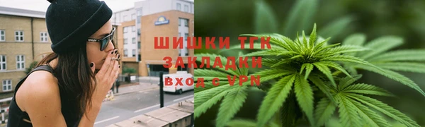 амф Ладушкин