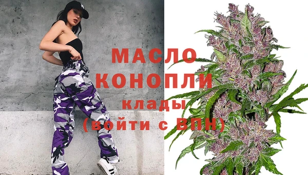 амф Ладушкин