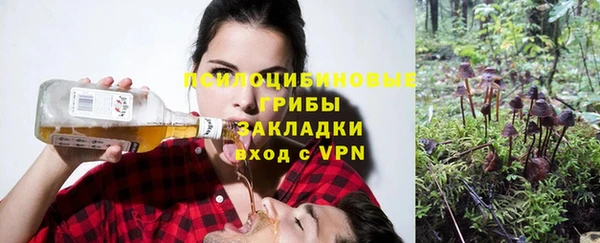 a pvp Лагань