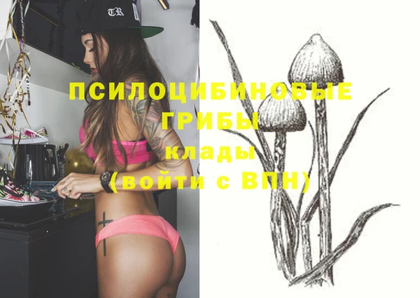 прущие крисы Лихославль