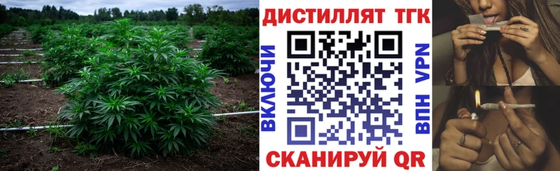 OMG вход  Яровое  ТГК вейп с тгк 