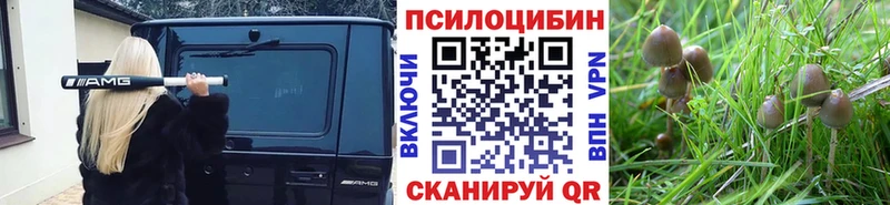 площадка состав  даркнет сайт  KRAKEN как зайти  Яровое  Псилоцибиновые грибы ЛСД 